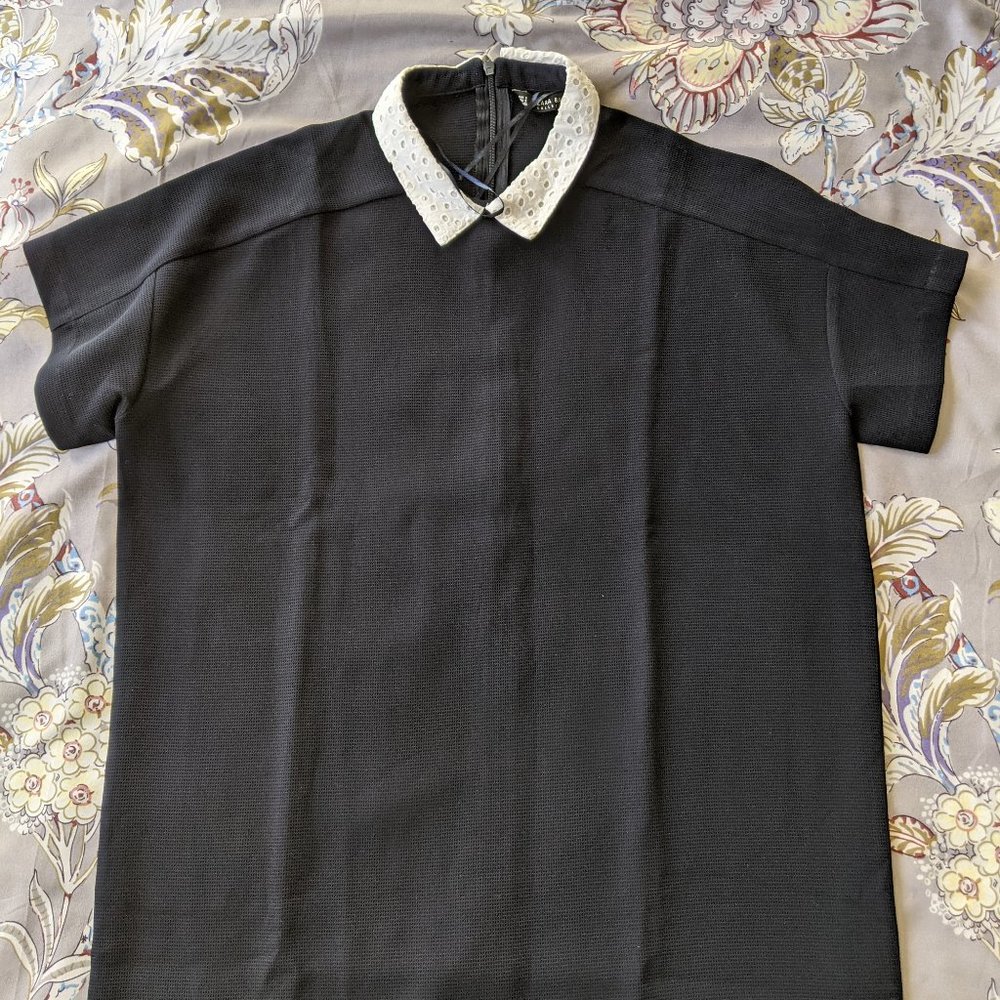 Zara Collar Shift Dress